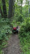 BH Red Trail6-15 Before.jpg