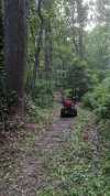 BH Red Trail 6-15 After.jpg