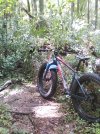 IMG_20230818_142450.jpg