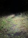 IMG_4022.jpeg