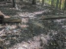 PXL_20231013_185004204.jpg