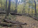 PXL_20231022_131533021.jpg