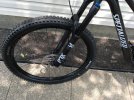 stumpy4.JPG