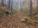 PXL_20231028_172325660.jpg