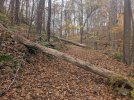 PXL_20231028_164046390.jpg