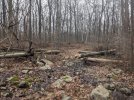 PXL_20240103_184731708.jpg