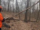 PXL_20240103_185856894.jpg