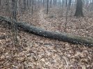 PXL_20240104_180300011.jpg