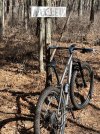 IMG_1548.jpeg
