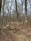 IMG_3964.jpeg