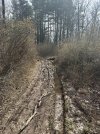 IMG_3408.jpeg