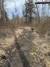 IMG_3418.jpeg