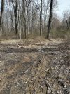 IMG_3420.jpeg