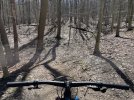 IMG_0265.jpeg