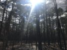 IMG_5746.jpeg