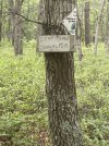 IMG_1691.jpeg