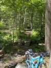 IMG_5153.jpeg