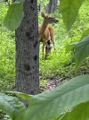 IMG_5158.jpeg