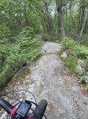 IMG_5162.jpeg