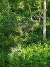 20240621_165435.jpg