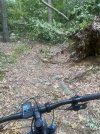 IMG_8595.jpeg