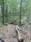 IMG_8597.jpeg