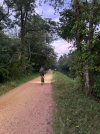 IMG_0073.jpeg
