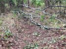 IMG_1834.jpeg
