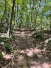 IMG_7249.jpg