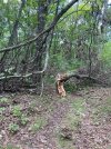 IMG_7253.jpg