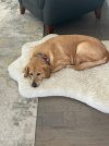 IMG_1832.jpeg