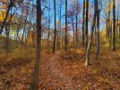 20241026_083128.jpg
