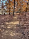 IMG_1350.jpeg