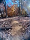 IMG_1352.jpeg