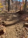 IMG_1353.jpeg