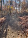 IMG_1354.jpeg