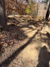 IMG_1355.jpeg