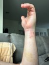 IMG_5162.jpeg