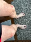 IMG_5157.jpeg