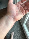 IMG_5158.jpeg