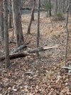 IMG_0815.jpeg