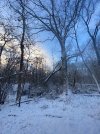 IMG_5966.jpeg
