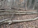 IMG_2622.jpeg