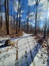 20250108_112753.jpg