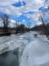 IMG_1761.jpeg