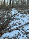 IMG_0252.JPEG