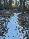 IMG_0247.JPEG