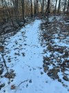 IMG_0248.JPEG
