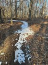 IMG_0249.JPEG