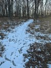 IMG_0251.JPEG